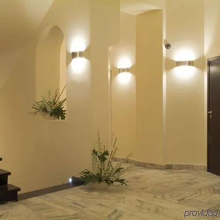 Spatz كراكوفيا